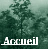 Accueil